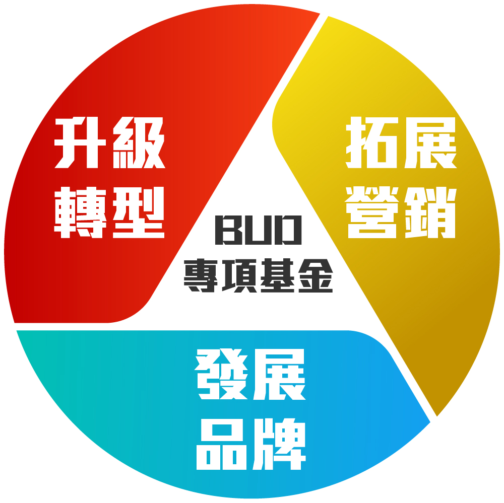 BUD專項基金- APConsultants